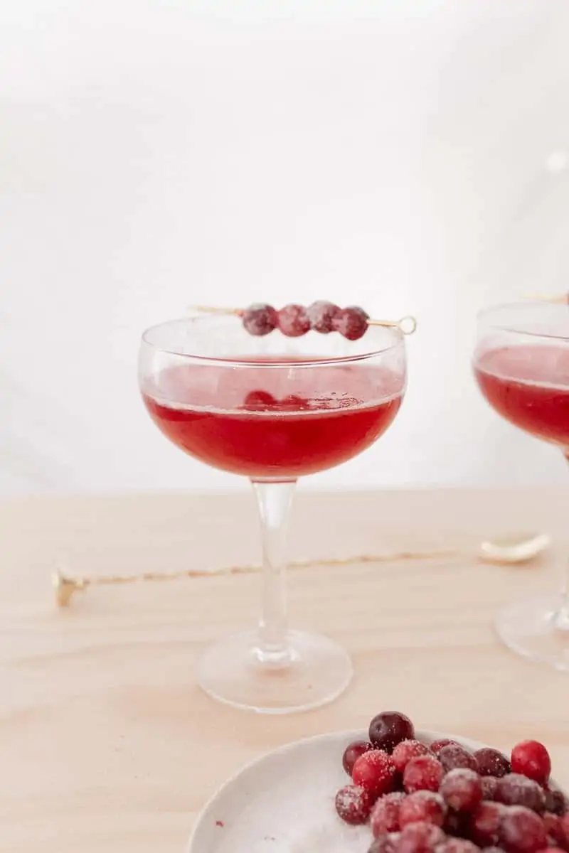 Cranberry Herb Cocktail